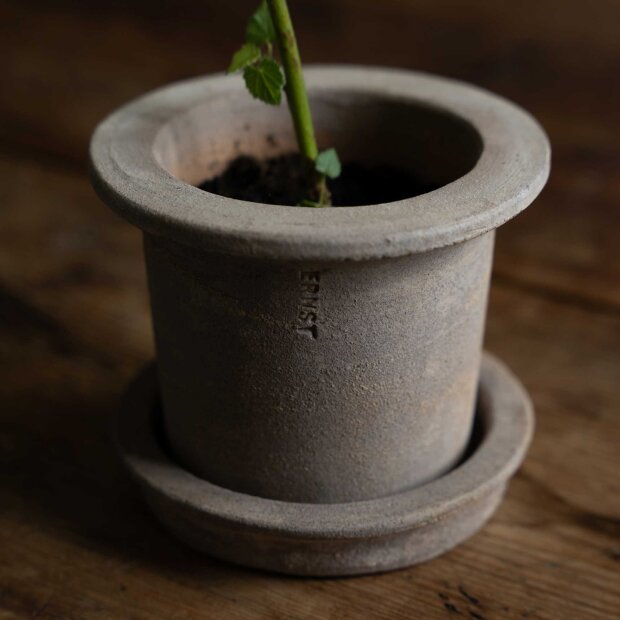 ERNST - SKJULER M/UNDERSKÅL 12X10 CM