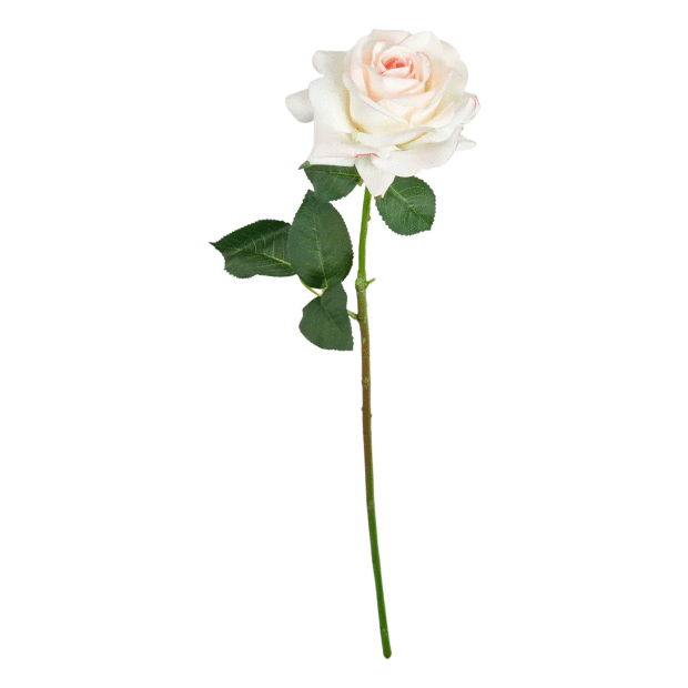 SPEEDTSBERG - ROSE STILK RT | PALE ROSE