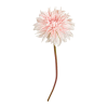 SPEEDTSBERG - GEORGINE STILK | ROSE SPEEDTSBERG - GEORGINE STILK | ROSE
