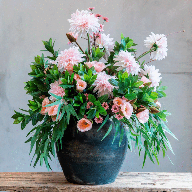 SPEEDTSBERG - GEORGINE STILK | ROSE