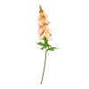 SPEEDTSBERG - STOKROSE STILK | ROSE SPEEDTSBERG - STOKROSE STILK | ROSE