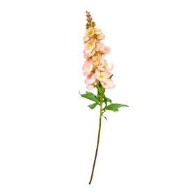 SPEEDTSBERG - STOKROSE STILK | ROSE