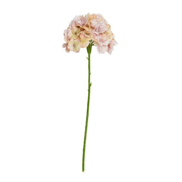 SPEEDTSBERG - HORTENSIA STILK | ROSE