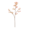 SPEEDTSBERG - FORÅRSBLOMST STILK | SOFT PINK SPEEDTSBERG - FORÅRSBLOMST STILK | SOFT PINK