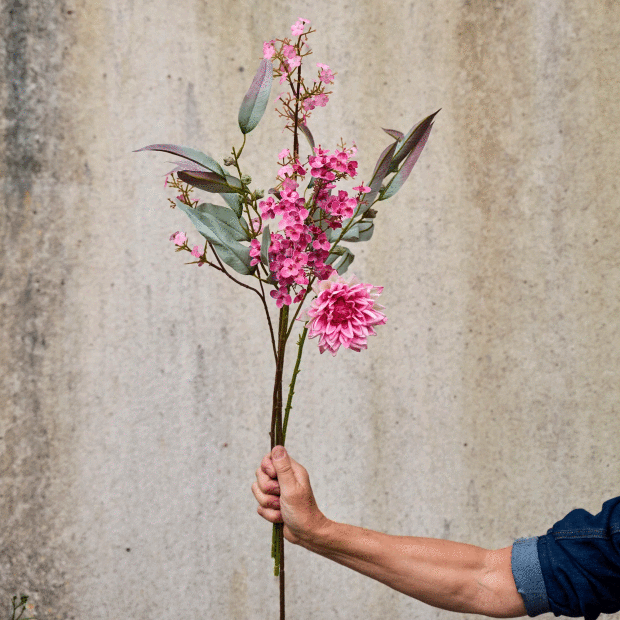 SPEEDTSBERG - FORÅRSBLOMST STILK | SOFT PINK