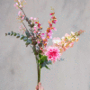 SPEEDTSBERG - FORÅRSBLOMST STILK | SOFT PINK SPEEDTSBERG - FORÅRSBLOMST STILK | SOFT PINK