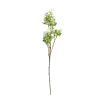 SPEEDTSBERG - HYACINT STILK | WHITE SPEEDTSBERG - HYACINT STILK | WHITE