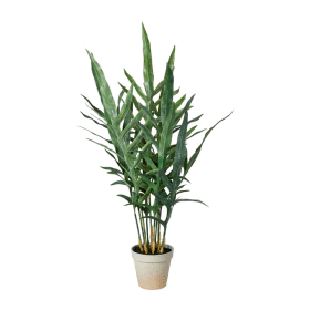 SPEEDTSBERG - BREGNE I POTTE | GREEN