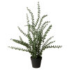 SPEEDTSBERG - POTTEPLANTE | GREEN SPEEDTSBERG - POTTEPLANTE | GREEN