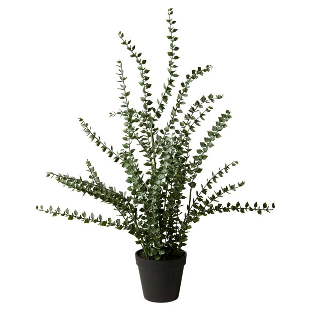 SPEEDTSBERG - POTTEPLANTE | GREEN