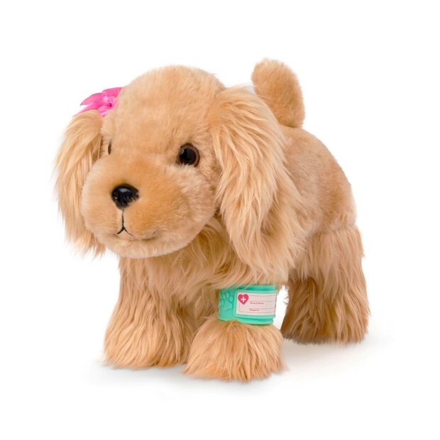 PUCCI PUPS - DYRELÆGE COCKER