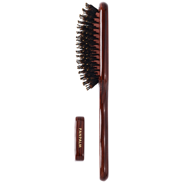 FAN PALM - BEECH WOOD BOAR + NYLON MEDIUM | EBONY GLOSSY BROWN