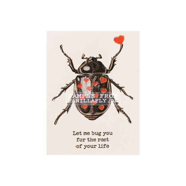 VANILLA FLY - GREETING CARD | LET ME BUG YOU FOR THE REST OF YOUR LIFE