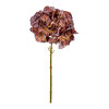 SPEEDTSBERG - HORTENSIA STILK | GOLDEN BURGUNDY SPEEDTSBERG - HORTENSIA STILK | GOLDEN BURGUNDY