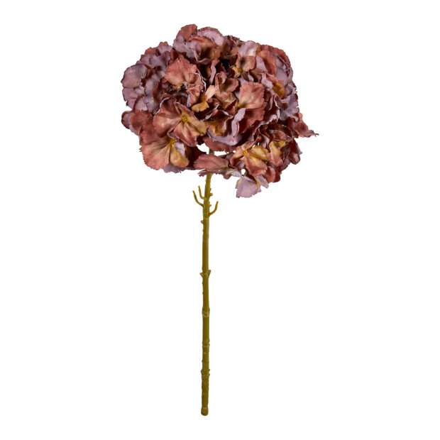SPEEDTSBERG - HORTENSIA STILK | GOLDEN BURGUNDY