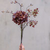 SPEEDTSBERG - HORTENSIA STILK | GOLDEN BURGUNDY SPEEDTSBERG - HORTENSIA STILK | GOLDEN BURGUNDY