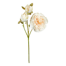 SPEEDTSBERG - PÆON STILK | OFFWHITE SPEEDTSBERG - PÆON STILK | OFFWHITE
