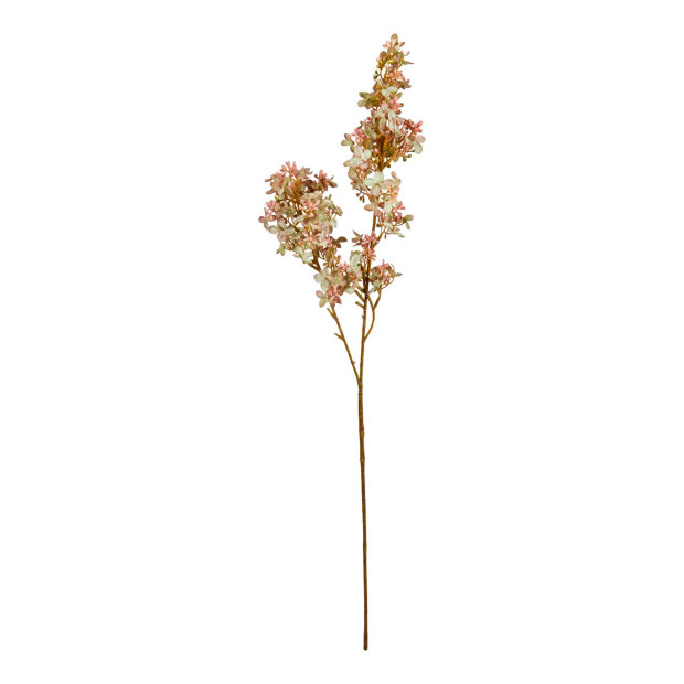 SPEEDTSBERG - SYREN STILK | SOFT ROSE