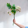 SPEEDTSBERG - HORTENSIA STILK | GREEN/ROSE SPOT SPEEDTSBERG - HORTENSIA STILK | GREEN/ROSE SPOT