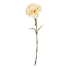 SPEEDTSBERG - NELLIKE STILK | OFFWHITE SPEEDTSBERG - NELLIKE STILK | OFFWHITE