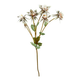 SPEEDTSBERG - AKELEJE STILK | DUSTY GREEN/ROSE SPEEDTSBERG - AKELEJE STILK | DUSTY GREEN/ROSE