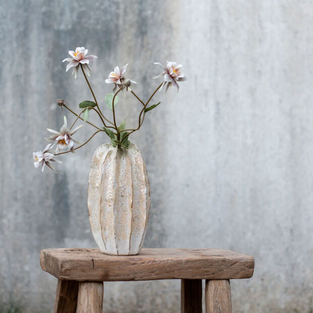 SPEEDTSBERG - AKELEJE STILK | DUSTY GREEN/ROSE