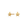 MAANESTEN - OLIVIA EARRINGS | FORGYLDT MAANESTEN - OLIVIA EARRINGS | FORGYLDT