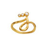 MAANESTEN - ALPHABET RING | FORGYLDT