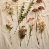 IB LAURSEN - BLOMSTERSTILK BRUN IB LAURSEN - BLOMSTERSTILK BRUN