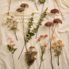 IB LAURSEN - BLOMSTERSTILK MØRK BRUN IB LAURSEN - BLOMSTERSTILK MØRK BRUN