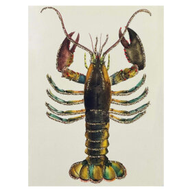 VANILLA FLY - LYKØNSKNINGSKORT | LOBSTER VANILLA FLY - LYKØNSKNINGSKORT | LOBSTER