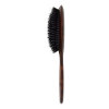 FAN PALM - SMALL BRUSH | TURTLE FAN PALM - SMALL BRUSH | TURTLE