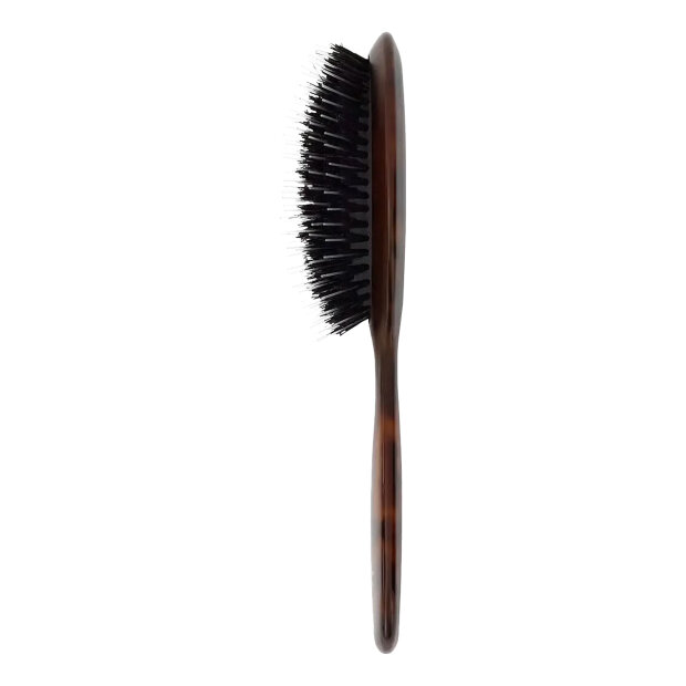 FAN PALM - SMALL BRUSH | TURTLE