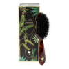 FAN PALM - SMALL BRUSH | TURTLE FAN PALM - SMALL BRUSH | TURTLE