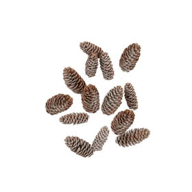 SPEEDTSBERG - KOGLE | BROWN/SNOW SPEEDTSBERG - KOGLE | BROWN/SNOW