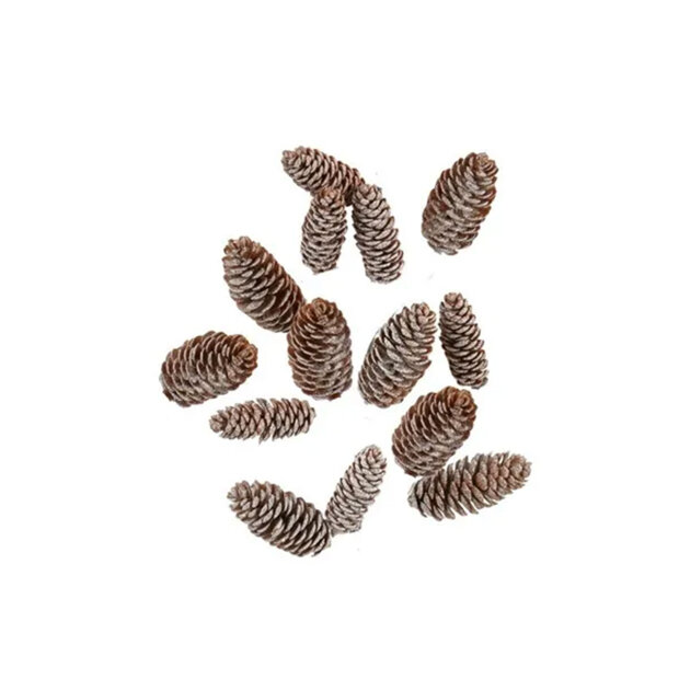 SPEEDTSBERG - KOGLE | BROWN/SNOW