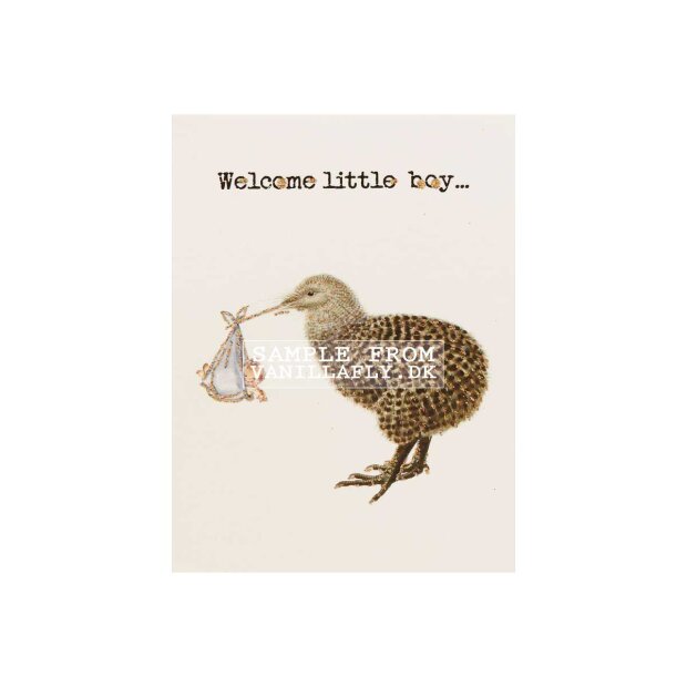 VANILLA FLY - GREETING CARD | WELCOME LITTLE BOY