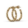 CHUNKY BEAD CREOLE ØRERINGE | FORGYLDT