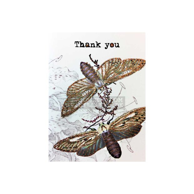 VANILLA FLY - GREETING CARD | THANK YOU