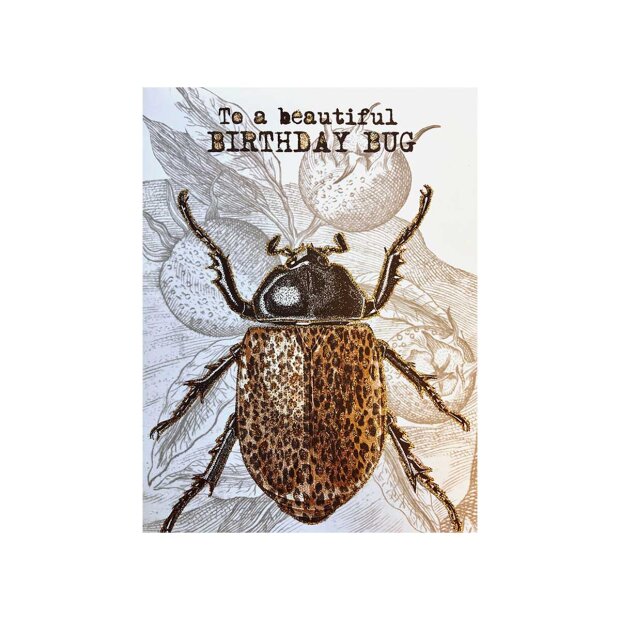 VANILLA FLY - A5 GREETING CARD | BIRTHDAY BUG
