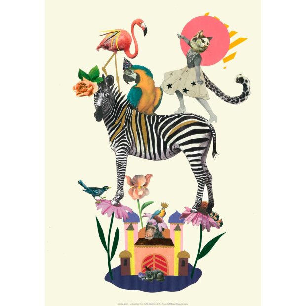 Billede af Dancing Queen 42x59 Cm Indrammet Fra Tex And Jack