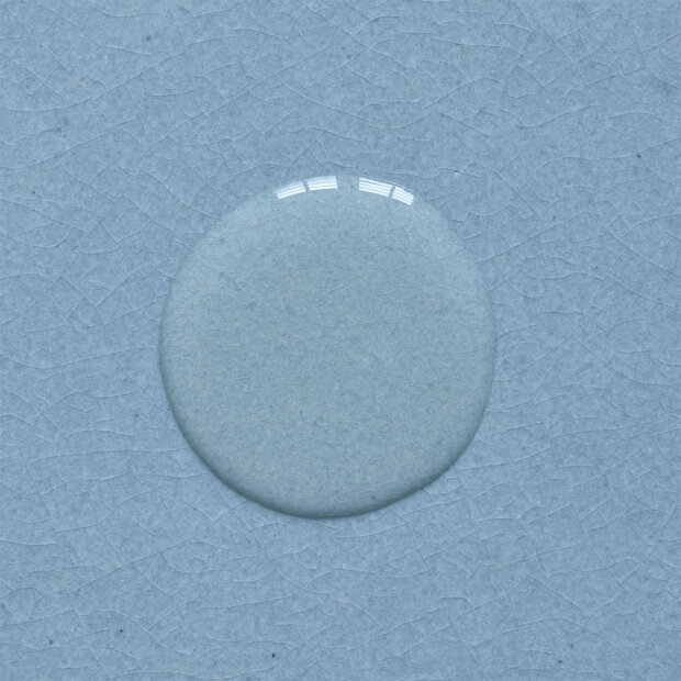 RUDOLPH CARE - BLOSSOM SHAMPOO TS 50ML