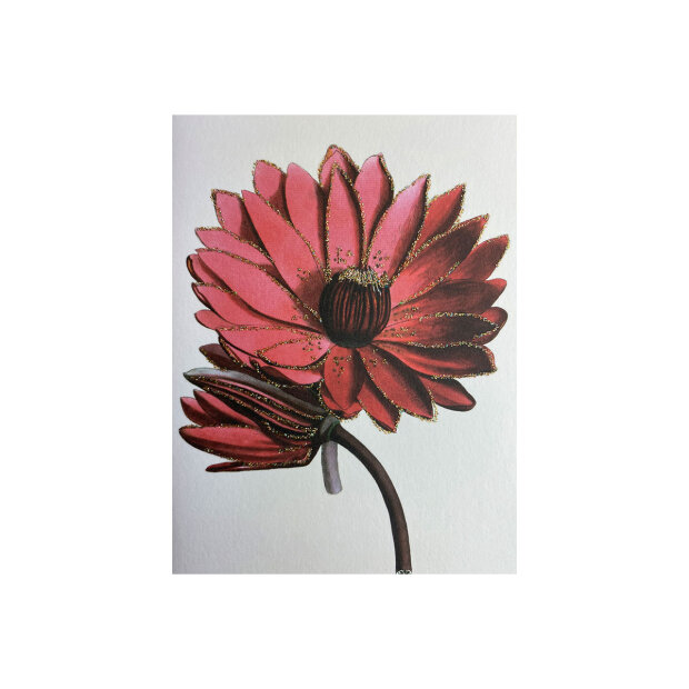 VANILLA FLY - GREETING CARD | RED FLOWER 104