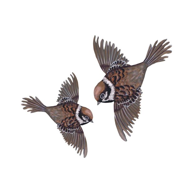 THATS MINE - FLYING SPARROWS