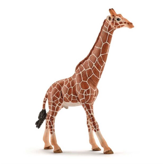 Billede af Giraf - Han 17 Cm Fra Schleich