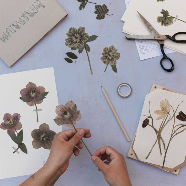 KIT COMPANY - BLOMSTERPRESSE KIT