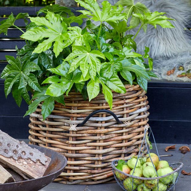 A2 LIVING - MAXI LOW RATTAN KURV - RUND