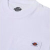 DICKIES - SS PORTERDALE CROP TOP | WHITE