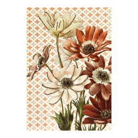 VANILLA FLY - GREETING CARD | FLORES