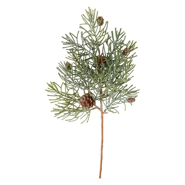SPEEDTSBERG - GRANGREN M/KOGLER 53CM